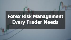 Forex Risk Management Basics Every Trader Needs