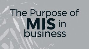 purpose of MIS in business